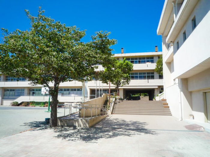 横浜市立本牧小学校(小学校)まで297m グランステージ本牧（５０１）