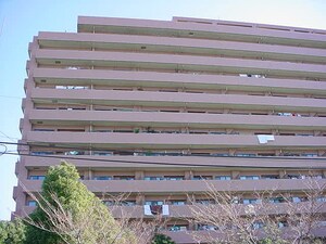 ｺｽﾓ西大島ｸﾞﾗﾝｽﾃ-ｼﾞ南棟(204)