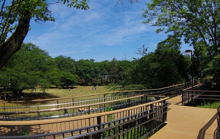 鶴間公園(公園)まで1300m フレンドポート南町田（３１０）