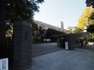 武蔵大学 江古田キャンパス(大学/短大/専門学校)まで441m リヴ桜台