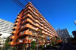 ﾗｲｵﾝｽﾞﾏﾝｼｮﾝ小島町(809)