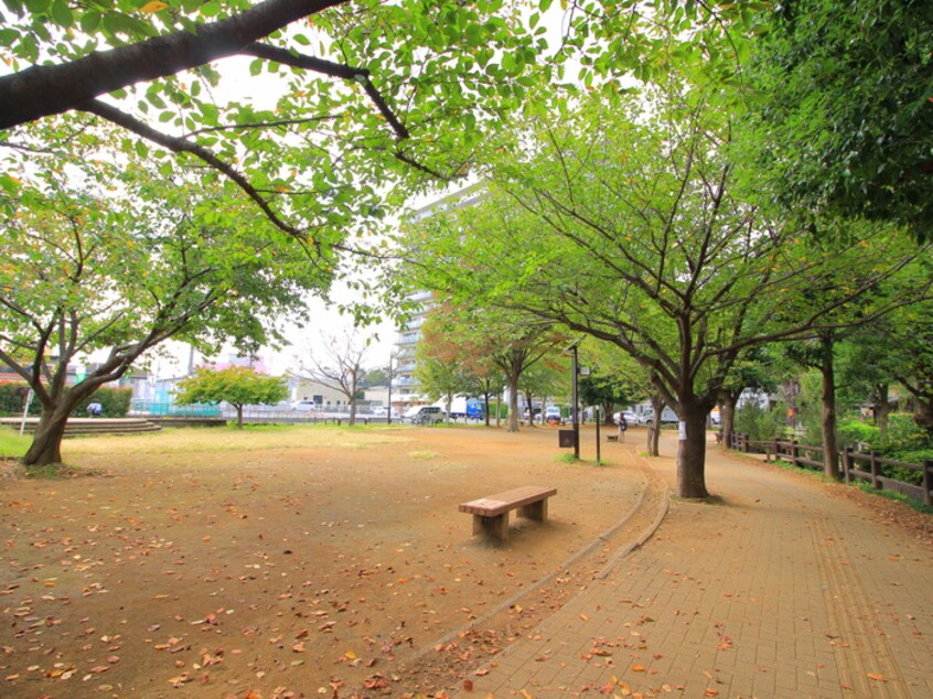 新座駅南口公園(公園)まで200m Ｌｕｃｕｌｉａ新座