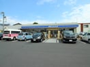 ローソン(コンビニ)まで370m ミッキーハウス東越谷　２