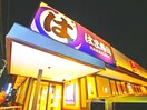 はま寿司(その他飲食（ファミレスなど）)まで387m セレーノⅡ
