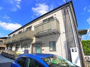 Ａｍｏｕｒ　ＳＨＩＮＹＡ