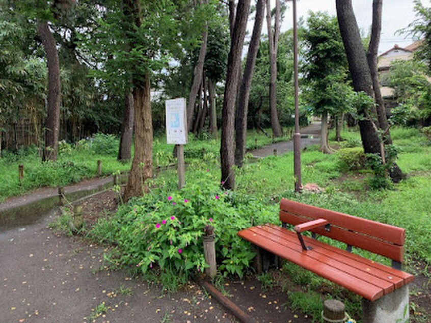 松浪緑地(公園)まで400m ティアラ湘南辻堂