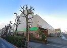 サミットストア　井荻駅前店(スーパー)まで186m エステ－ジ井荻