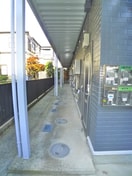 エントランス部分 クレ－ル菅野