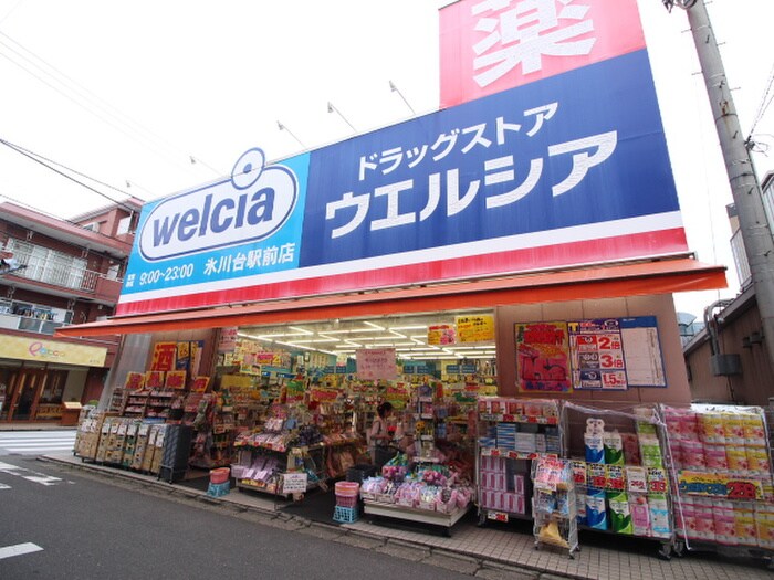 ウェルシア氷川台店(ドラッグストア)まで304m 原コ－ポ