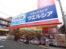 ウェルシア氷川台店(ドラッグストア)まで304m 原コ－ポ