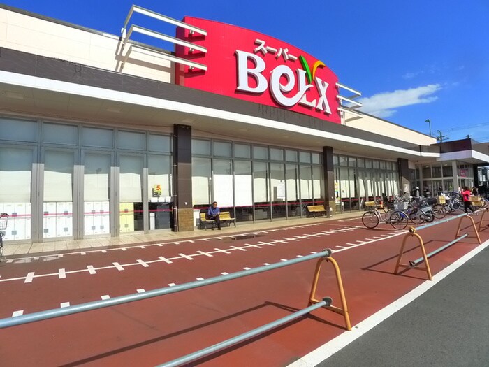 ベルクス(スーパー)まで1220m グランド・カオルⅡ