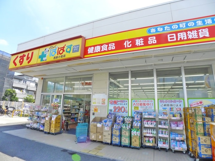 どらっぐぱぱす(ドラッグストア)まで851m ローゼット新小岩