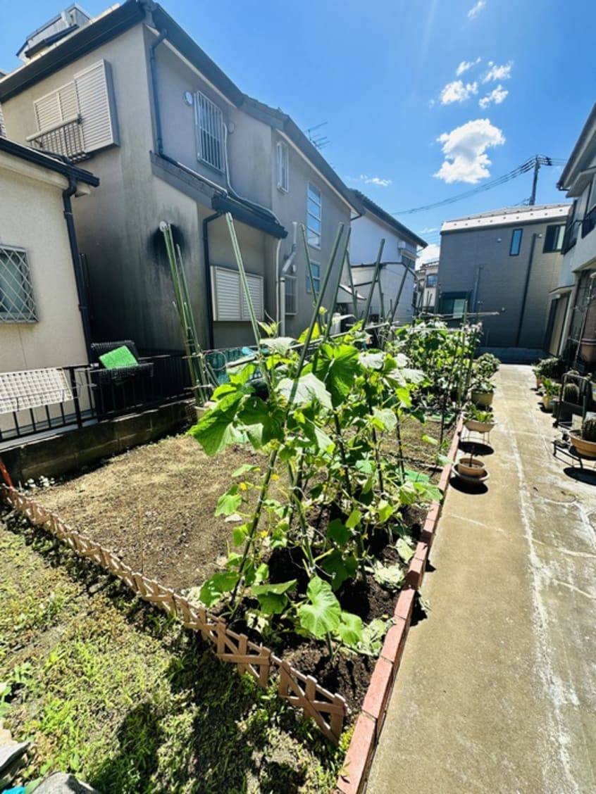 周辺環境 日の出ハイツ