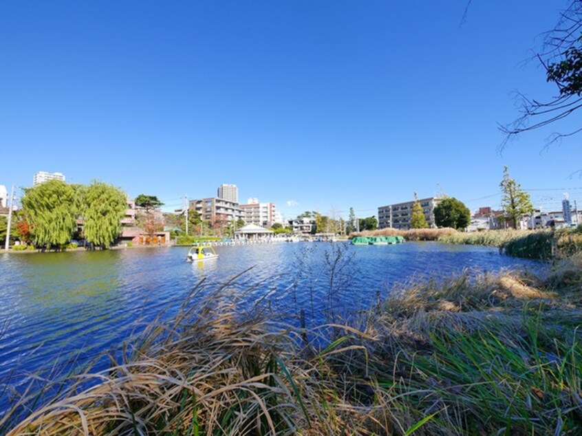 石神井公園(公園)まで1160m 青葉荘