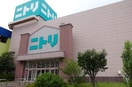 ニトリ磯子店(電気量販店/ホームセンター)まで600m クリオ根岸弐番館（１１３）