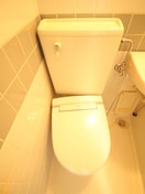 トイレ アベニュ－等々力５