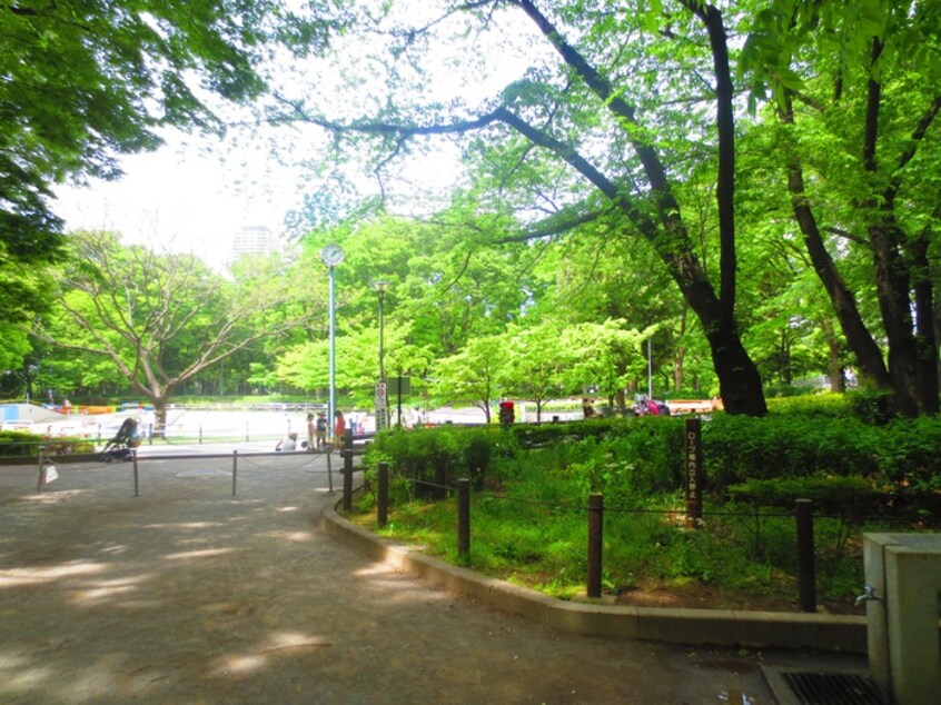新宿中央公園(公園)まで750m イプセ代々木