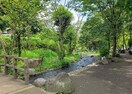 相模川自然の村公園(公園)まで382m ヒルポート上大島