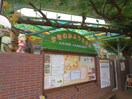 柿の実幼稚園(幼稚園/保育園)まで800m 藤田ハイツ
