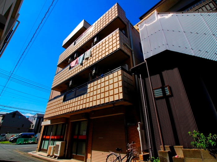 その他 コラ－ルＥＢ－１
