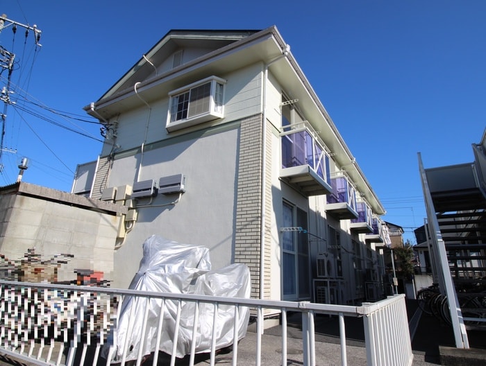 その他 ヒルズカトレア１