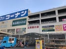 コーナン(電気量販店/ホームセンター)まで800m コスモグラシア清澄白河