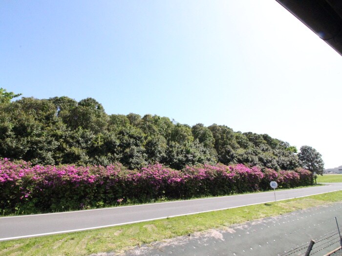 室内からの展望 清陵館