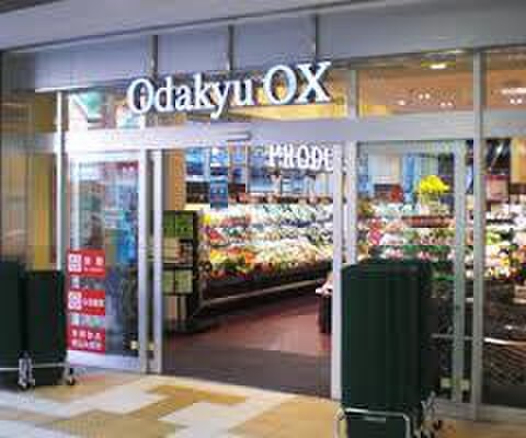 odakyu OX 伊勢原店(スーパー)まで709m さぎたハイツ