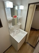 洗面 ｸﾞﾘｰﾝｺｰﾎﾟ小田急相模原Ⅱ(102)