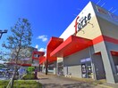 フォルテ(スーパー)まで950m ラフィ－ナ－津田沼