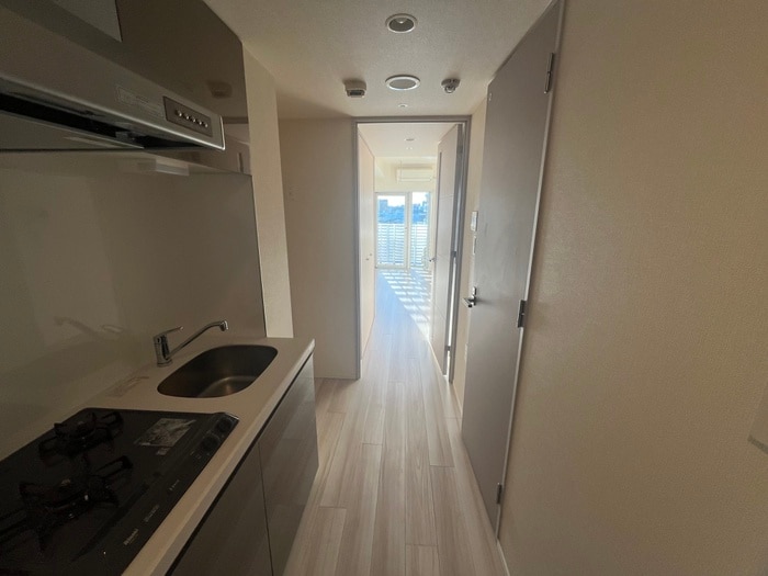 廊下 メインステージ十条Ⅱ（1101）