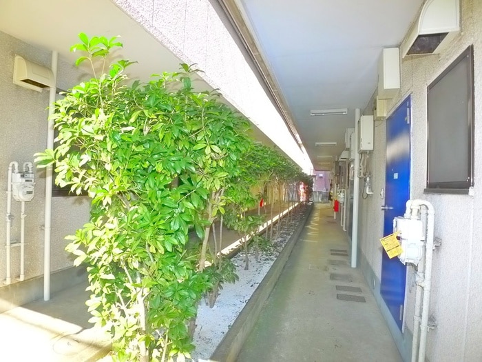 エントランス部分 第2小川マンション