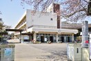 蓮田南小学校(小学校)まで510m ドムス壱番館