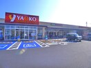 ヤオコー市川中国分店(スーパー)まで300m ミキハイツ中国分