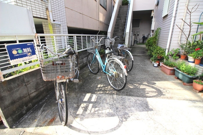 その他 ジャーティンイトウ