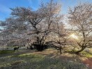 砧公園(公園)まで367m ＫＴハイム