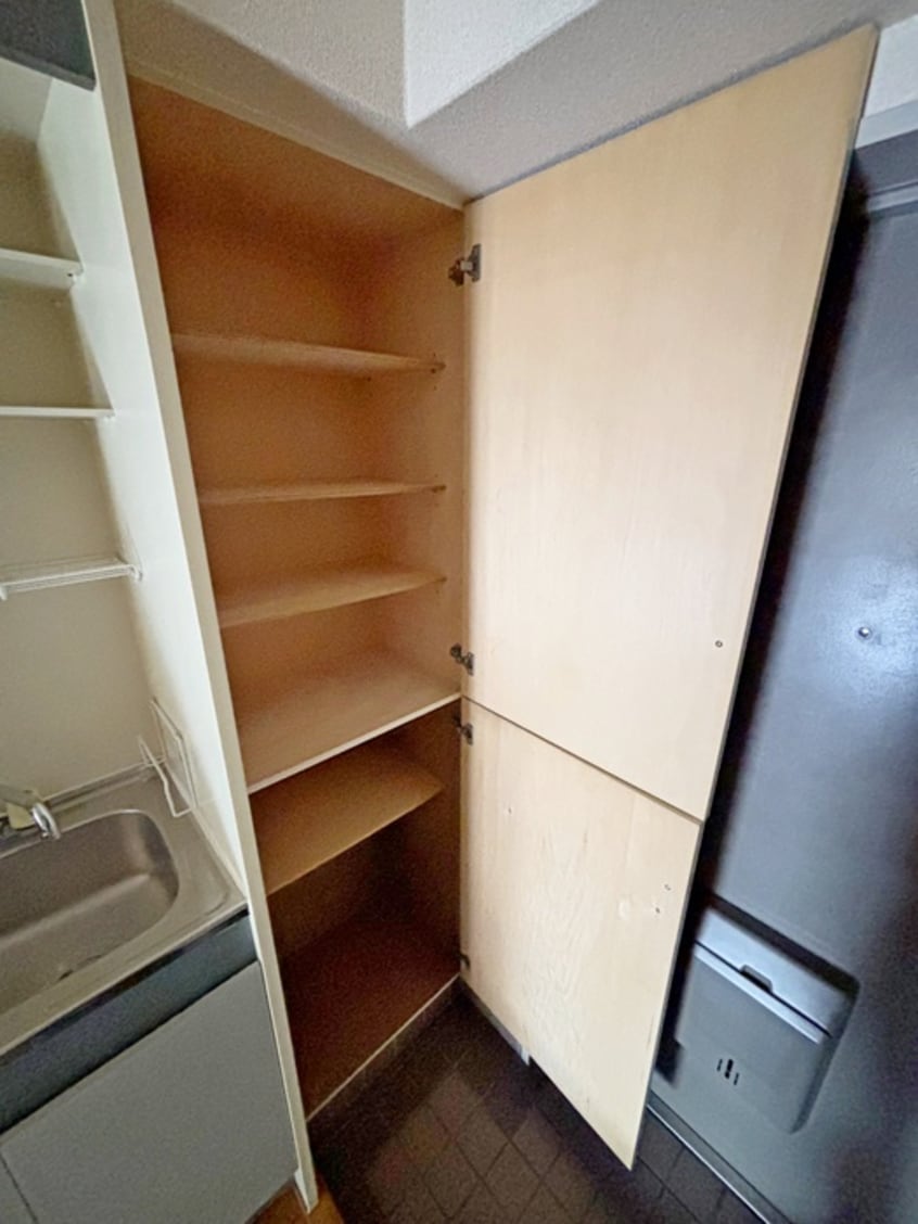 靴箱 ウェルネス