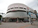 イオン(スーパー)まで950m スペリオール平潟Ⅱ