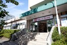 東急ストア　江田店(スーパー)まで219m ティアラ荏田