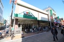 マルエツ元住吉店(スーパー)まで53m クリフトンコート