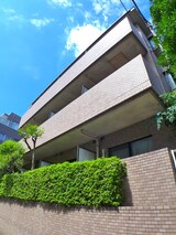 グラシオ－ズメゾン