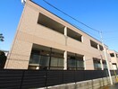その他 グレーシア