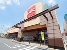 ベルク坂戸八幡店(スーパー)まで550m グレーシア