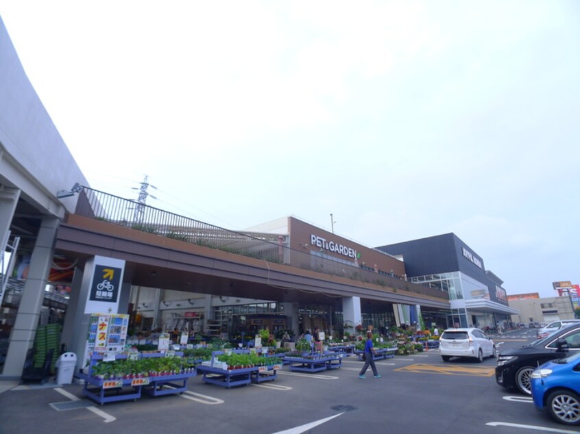 ジョイフルホンダ(電気量販店/ホームセンター)まで860m サニーハイツ園生