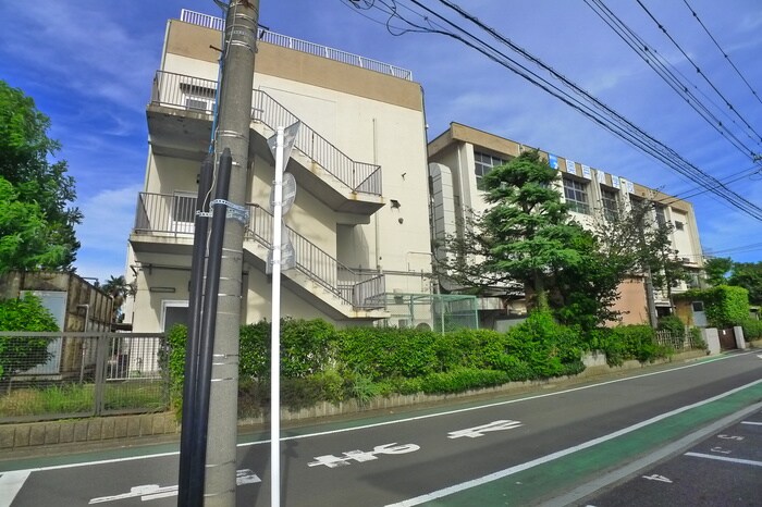 奥戸小学校(小学校)まで330m 吉田コ－ポ