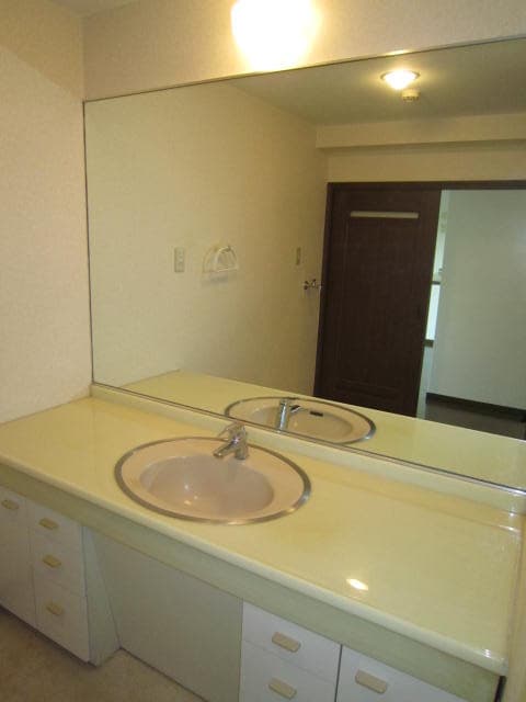 洗面 シェルセントラルビレッジⅠ