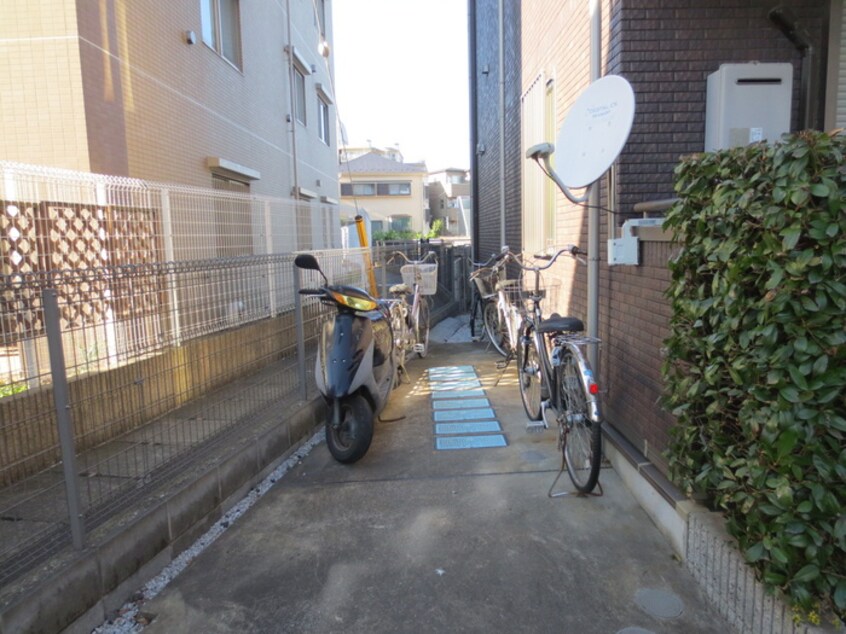 その他 ｅｖｅｒｇｒｅｅｎ