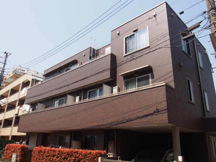 その他 ｅｖｅｒｇｒｅｅｎ