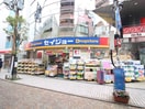 セイジョー(ドラッグストア)まで190m 関谷ビル