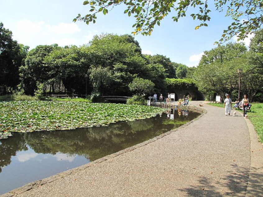 せせらぎ公園(公園)まで482m エルコート